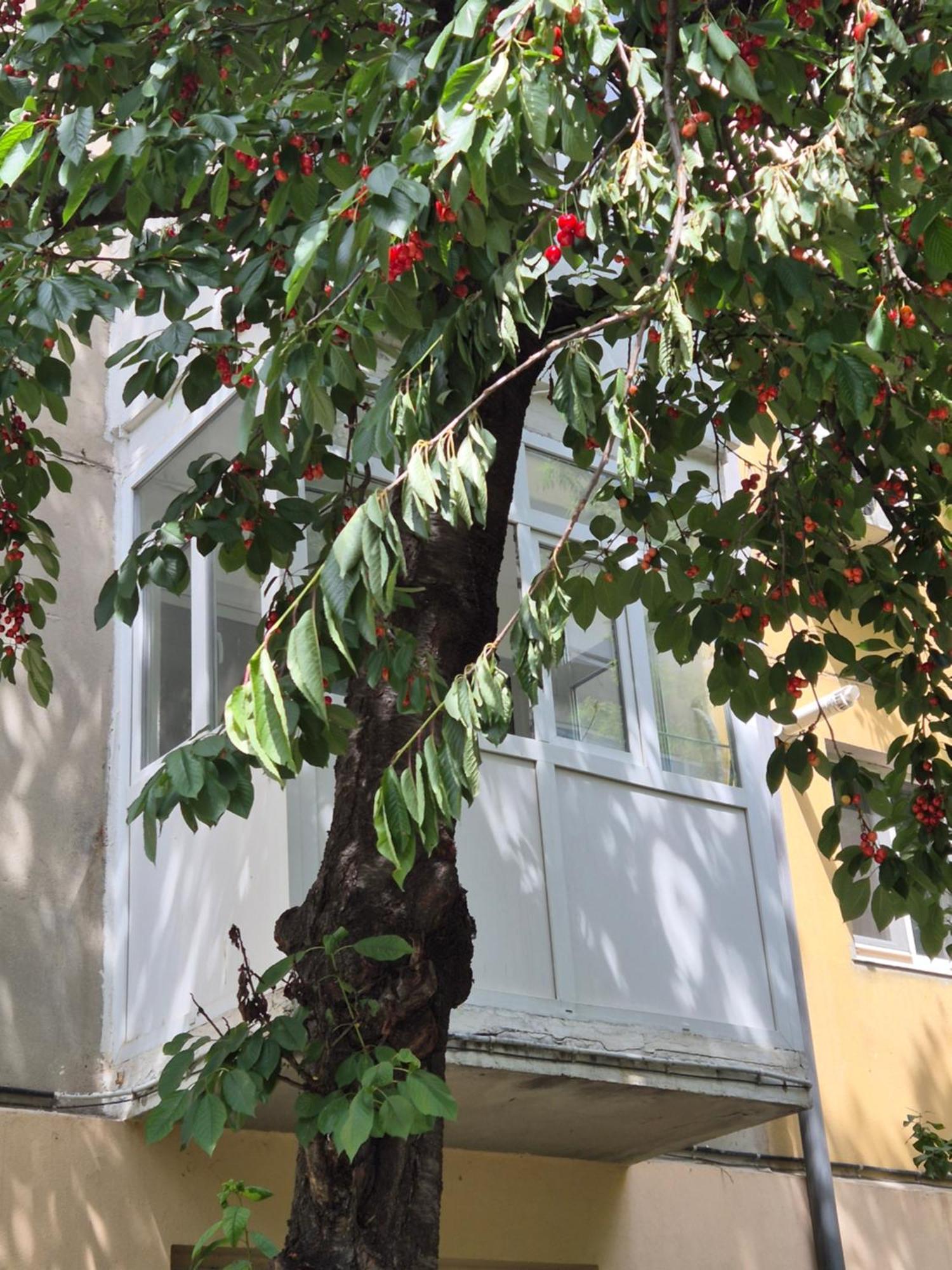 Apartament Rovine Craiova Exterior photo